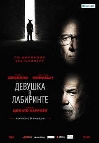 Девушка в лабиринте (2020)