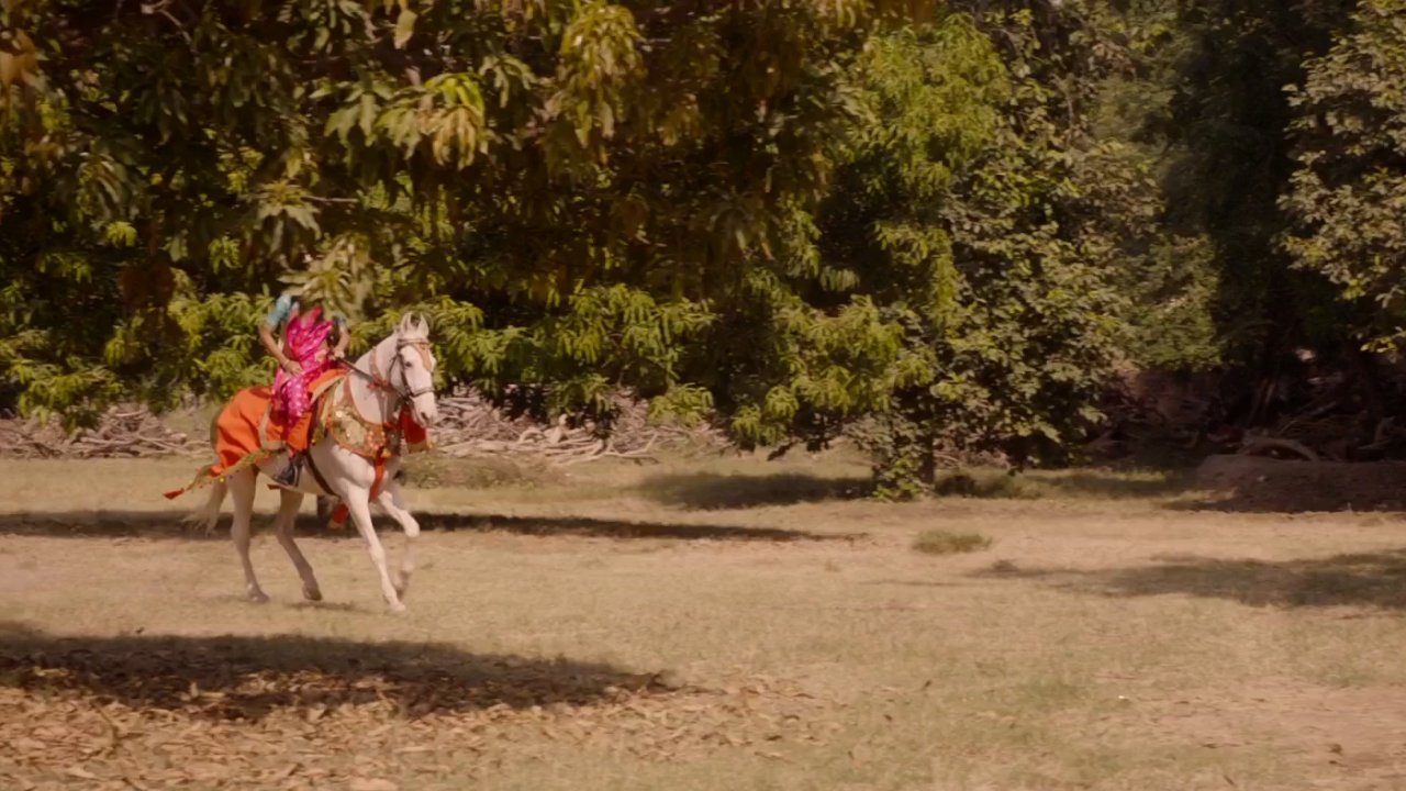 королева джханси, рани лакшми бай,. королева воин джханси. королева воин джханси. королева воин джханси. джханси индия королева воин.